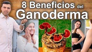 Para que Sirve el Ganoderma Lucidum - 8 Propiedades Beneficios y Usos Medicinales