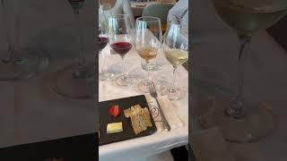 WINE TASTING HAL cruise   Nieuw Statendam #shorts