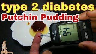 #14 Blood glucose level！type 2 diabetes ＶＳ Putchin Pudding