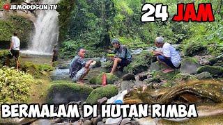 PETUALANGAN MENYUSURI SUNGAI DALAM HUTAN RIMBA BELANTARA  FISHING CAMPING AND COOKING