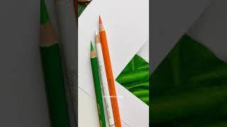 Independence Day Art  ️  #vandematram #tricolor #colourepencil