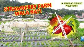 Wala nang Strawberry sa STRAWBERRY FARM ng Baguio City? Anyare?