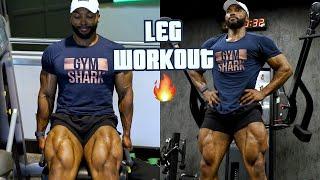 THE PERFECT LEG WORKOUT TO BUILD BIG LEGS  Vol 2.0