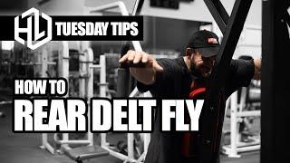 Tuesday Tips  HOW TO - Rear delt fly with Hunter Labrada