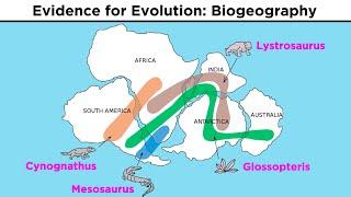 The Evolution of Populations Natural Selection Genetic Drift and Gene Flow