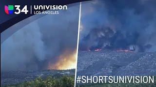 Incendio Fairview quema la vegetación del sur de California #shorts