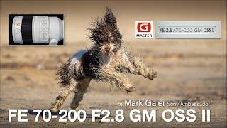 Sony FE 70 200 F2.8 GM OSS II Lens Review
