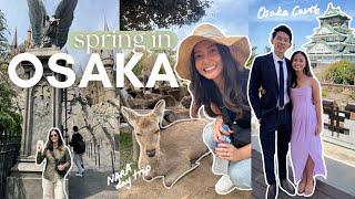 Universal Studios Destination Wedding Nara Shopping and Eating in Osaka  Osaka Vlog 2024