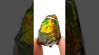 This gem is actually a fossil ammolite