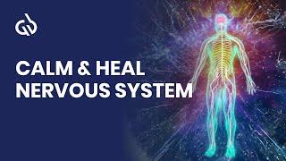 Nervous System Healing Frequency 528 Hz to Calm Nervous System