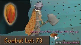 Level 73 Zenyte Shard Farmer #7