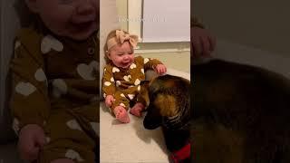 Baby cant stop giggling as dog pal licks feet #shorts