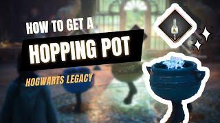 Hogwarts Legacy  How to Brew FREE POTIONS w a Hopping Pot