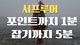 광어가 그리운 초보 필시청  세상 편한 서프루어 포인트 - 7월 12일