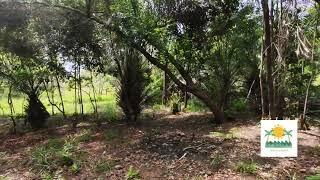 Terreno a venda em Imbassai - Litoral Norte da Bahia