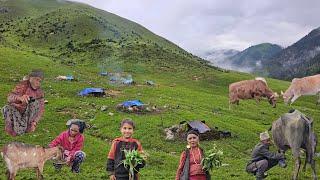 Organic Nepali Mountain Village Life Nepal  Peaceful And Relaxing Life With Livestock  Rural Nepal