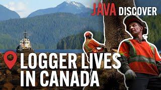 The Real Lives of Loggers in Canada From Forest to Factory  Canadian Lumberjack Documentary