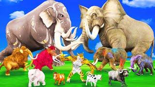 5 Mammoth Elephant vs 5 Zombie Elephant vs Giant Tiger Wolf Attack Cow Baby Elephant Buffalo Bull