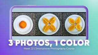 Triptych Photography Tutorial 3 Photos 1 Color  Week 22
