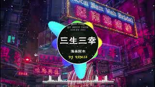 Chinese DJ remix Hot Tiktok Douyin Dj 抖音版2024 - 柯柯柯啊 - 姑娘在远方 \阿冗 - 你的答案 刘瑾睿 - 若把你  仗著 - 陳壹仟