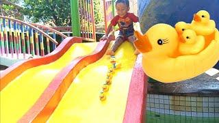 Bermain Perosotan Air di Kolam Renang dan Challenge Menyelamatkan Bebek - Kids Playing Water Slide