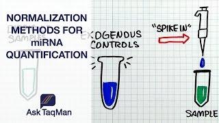 Normalization Methods of miRNA Quantification - Ask TaqMan #40