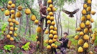 Harvesting Toad Skin Grapefruit With My Handless Younger Brother Goes to the market sell