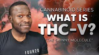 Everything you Need to Know about THCV - Tetrahydrocannabivarin  FOUR20 Cannabinoid Series