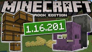 Minecraft Bedrock - 1.16.201 Hotfix️ShulkersICauldronsIStorage ChangeLog  PS4MCPEXboxWindows10