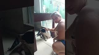 eita cachorro lindo kkkk