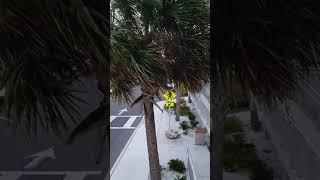 Skyway Bridge in Pinellas County Florida