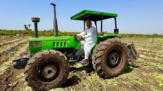 Village Life in Morocco  Agriculture in Morocco  Morocco to Pakistan  Village Food Secrets