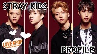 STRAY KIDS Members Profile Position Nationality Facts etc.