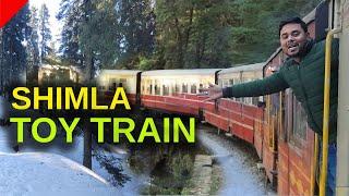 Toy Train Shimla 2024  Kalka Shimla Toy Train Journey  Shimla Kalka Toy train