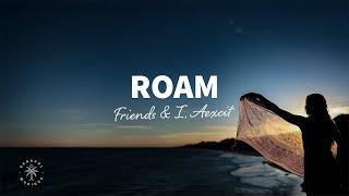 Friends & I Aexcit - Roam Lyrics