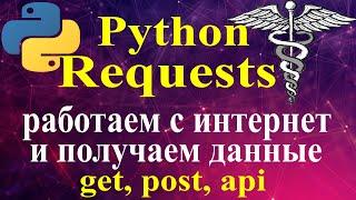 Python requests http https запросы requests методы get и post подключаемся к api через python