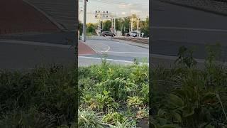 Police car responds code 3 over train tracks