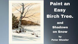 Easy Birch tree and Winter shadows in Line and Wash Watercolor. Great for Beginners. Peter Sheeler