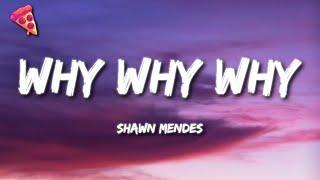 Shawn Mendes - Why Why Why Lyrics