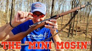 THE 22LR MINI MOSIN NAGANT