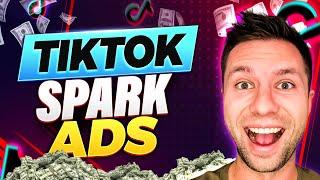 TikTok Spark Ads Made Easy The Secret To Success