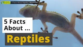 All About Reptiles  - 5 Interesting Facts - Animals for Kids - Educational Video