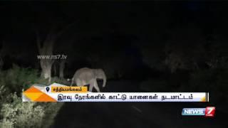 Beware of elephants in Sathy-Bannari road Forest officials warn two-wheelers   News7 Tamil