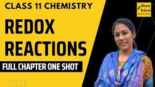 Redox Reactions In Full Shot  Class 11 Chemistry