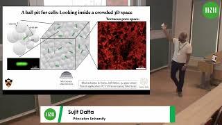 Prof. Sujit Datta  Sticking together How bacterial collectives reshape themselves