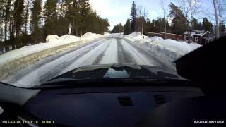 Dashcam in Sundsvall vol.5 - Reckless dog