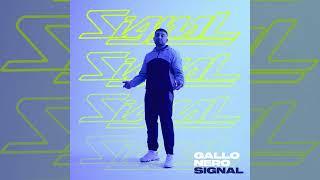 Gallo Nero - Signal Album-Snippet