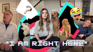 Tik Tok Call Your Dogs Name When Theyre Right Next To You - Camera Crazy   Dank Memes