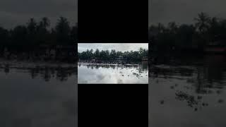 KTBC + NADUBAGAM  first triles 2024 #ntbr #vairal #vlogs #repost #kerala