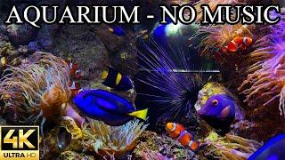 Finding Nemo and Dory Dream AQUARIUM 4K Coral Reef NO Music NO Ads  Aquarium Sounds For Sleeping